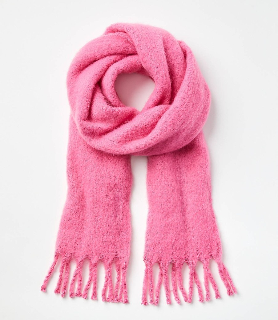 Accessories & Shoes Loft | Cozy Fringe Scarf Rosy Pink