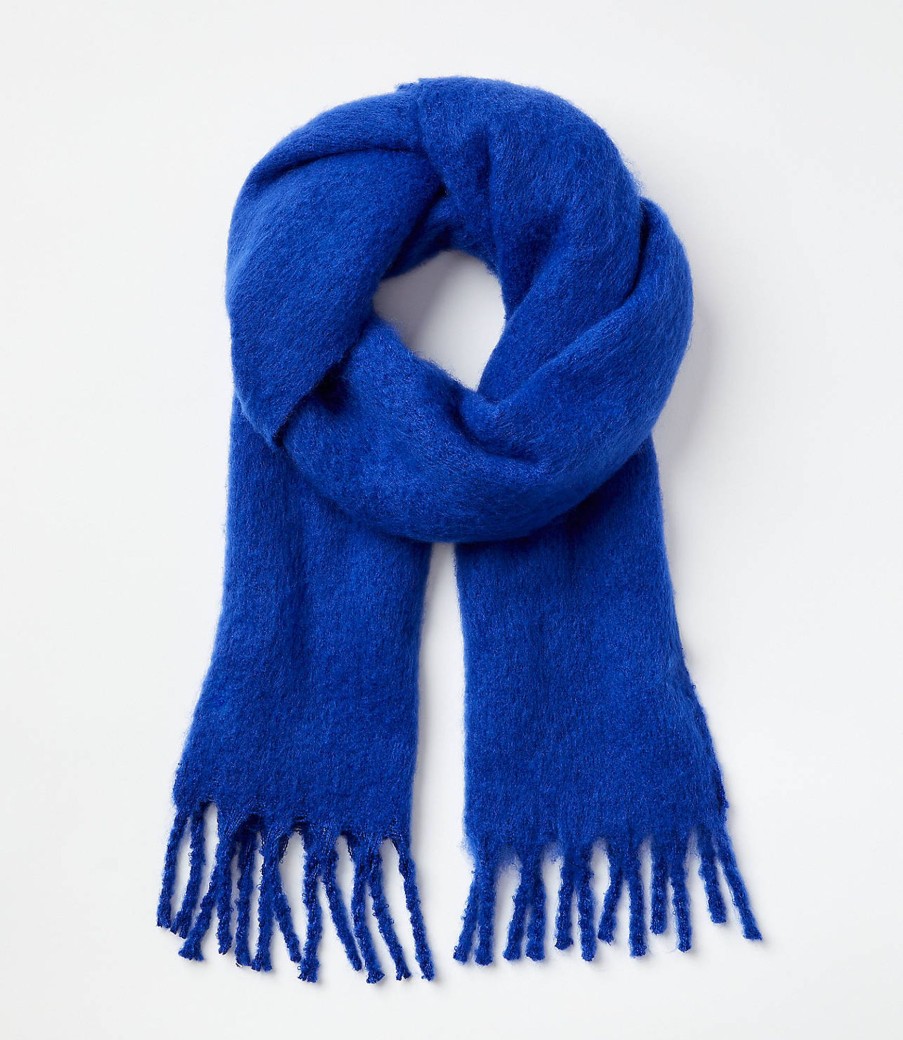 Accessories & Shoes Loft | Cozy Fringe Scarf Cineraria Blue